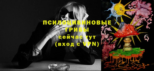 прущий лед Аркадак