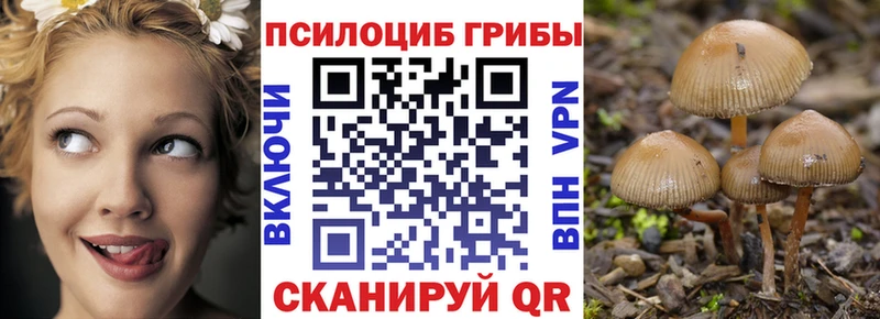 Псилоцибиновые грибы GOLDEN TEACHER что такое наркотик Дагестанские Огни