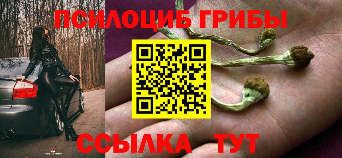 Галлюциногенные грибы Psilocybe  Дагестанские Огни 