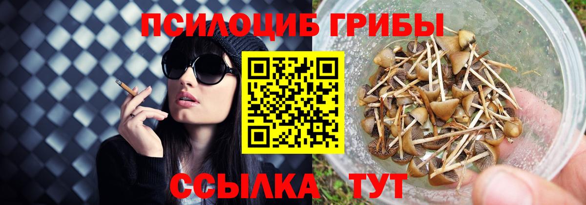 Псилоцибиновые грибы MAGIC MUSHROOMS  купить   Дагестанские Огни  Псилоцибиновые грибы прущие грибы  Вход с VPN 